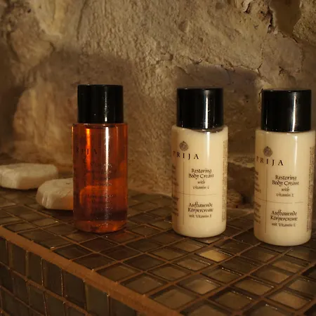 Hotel Tonic Saint Germain Des Pres 3*